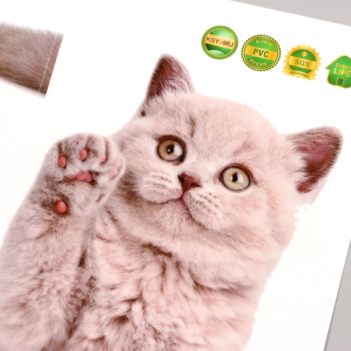 Наклейка 3Д интерьерная Котик 29*21см Наклейка 3Д интерьерная Котик 29*21см