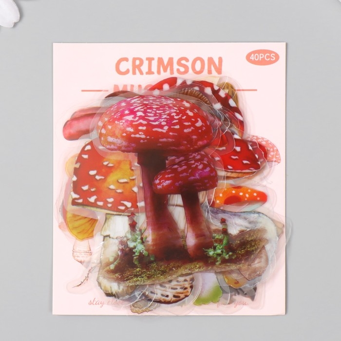 Наклейки для творчества пластик PVC Наклейки для творчества пластик PVC "Грибные истории" набор 40 шт 9х10.5 см