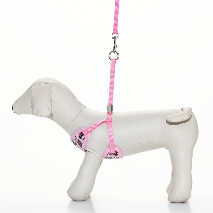 Комплект с мягкой шлейкой  Комплект с мягкой шлейкой "Дэймон", размер S, поводок 120  х 1 см, розовый