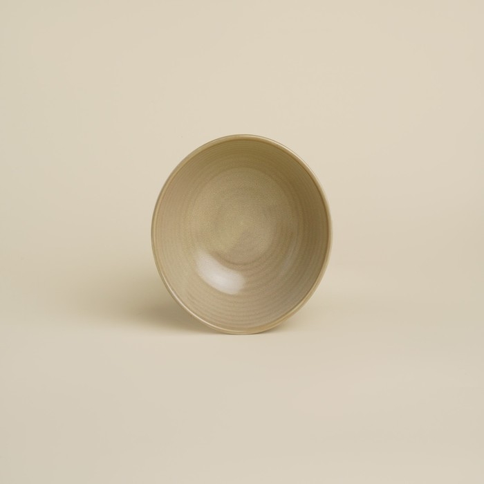 Салатник фарфоровый SL Home «Песчаный бриз», 290 мл, цвет бежевый Салатник фарфоровый SL Home «Песчаный бриз», 290 мл, цвет бежевый