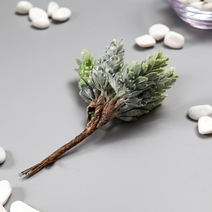 Искусственный суккулент для создания флорариума Искусственный суккулент для создания флорариума "Столетник цветной" набор 6 шт 13 см