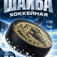 Шайба хоккейная Winter Star, взрослая, d=7.6 см