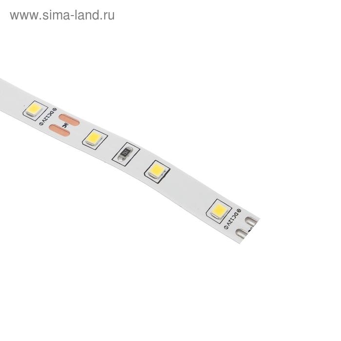 Светодиодная лента Ecola PRO 5 м, IP20, SMD5060, 60 LED/м, 11 Вт/м, 12 В, 4200К Светодиодная лента Ecola PRO 5 м, IP20, SMD5060, 60 LED/м, 11 Вт/м, 12 В, 4200К