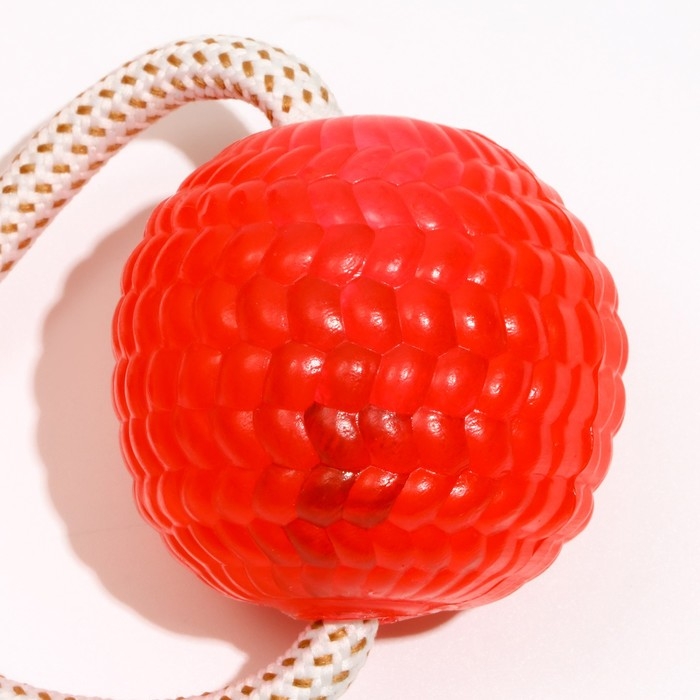 Игрушка для собак Игрушка для собак "Шар на присоске", 40 см, микс цветов