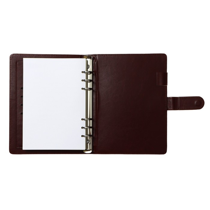 Органайзер на кольцах  Органайзер на кольцах "Классика" А5, 96 листов в линейку с ремешком, МИКС