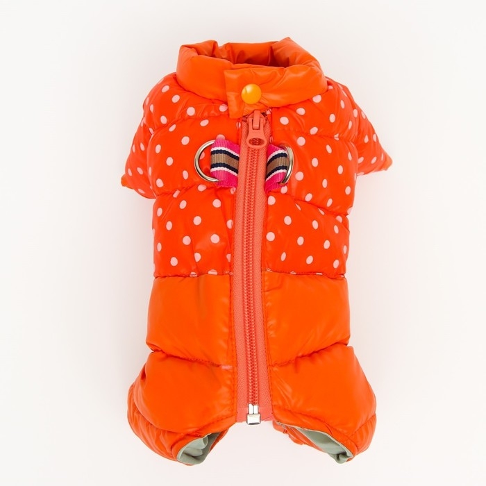 Комбинезон для собак Комбинезон для собак "Горошек", размер 22 (ДС 48, ОГ 54, ОШ 38 см), рыжий