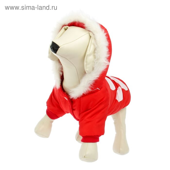 Куртка с капюшоном и мехом, размер XS (ОШ 22, ОГ 32, ДС 20 см), красная Куртка с капюшоном и мехом, размер XS (ОШ 22, ОГ 32, ДС 20 см), красная