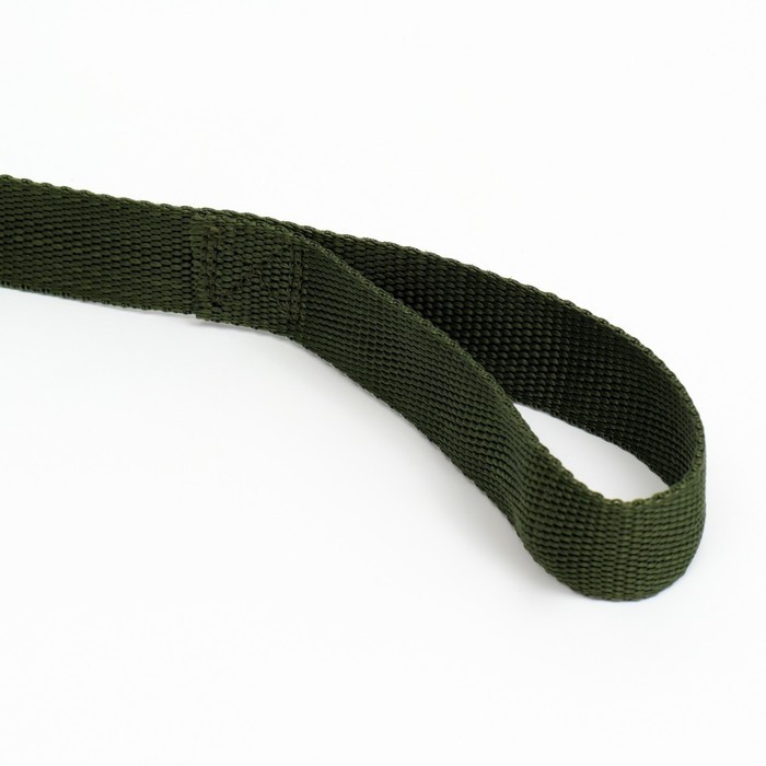 Поводок 2 м х 2,5 см, зелёный Поводок 2 м х 2,5 см, зелёный