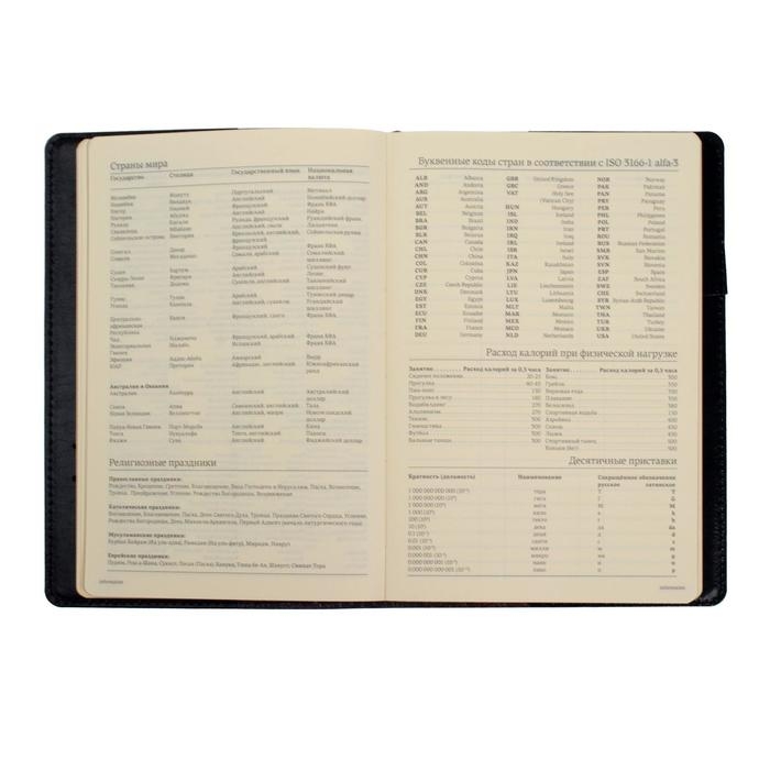 Ежедневник полудатированный А5, 208 листов Profy, рециклированная кожа, сменный блок, золотой срез, чёрный Ежедневник полудатированный А5, 208 листов Profy, рециклированная кожа, сменный блок, золотой срез, чёрный