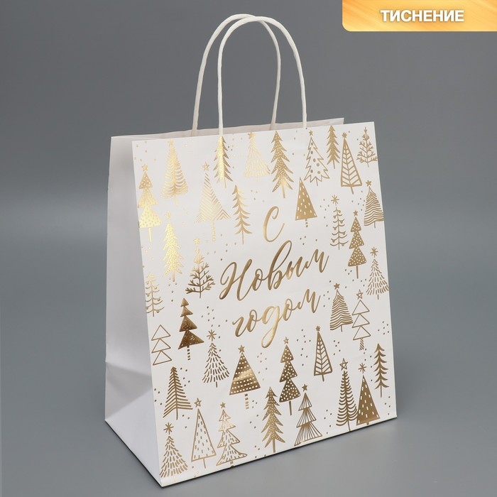 Пакет подарочный новогодний крафтовый «Новогодняя пора», 22 х 25 х 12 см, Новый год Пакет подарочный новогодний крафтовый «Новогодняя пора», 22 х 25 х 12 см, Новый год