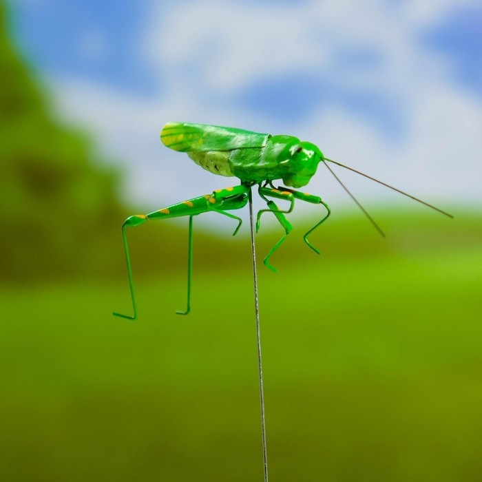 Штекер  Штекер "Кузнечик зеленый" 3х5см/22см, набор 2шт