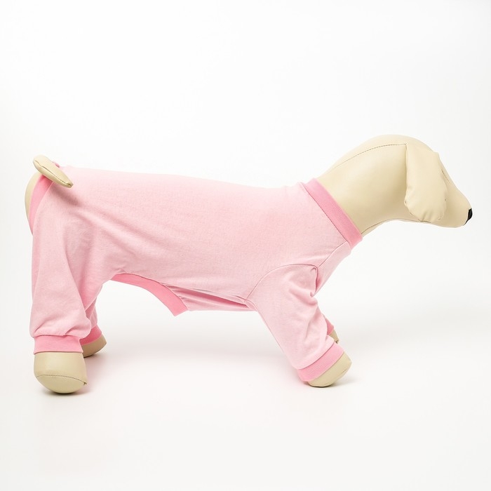 Комбинезон для животных нежно-розовый, L (ДС 39, ОШ 36-38, ОГ 60-62) Комбинезон для животных нежно-розовый, L (ДС 39, ОШ 36-38, ОГ 60-62)