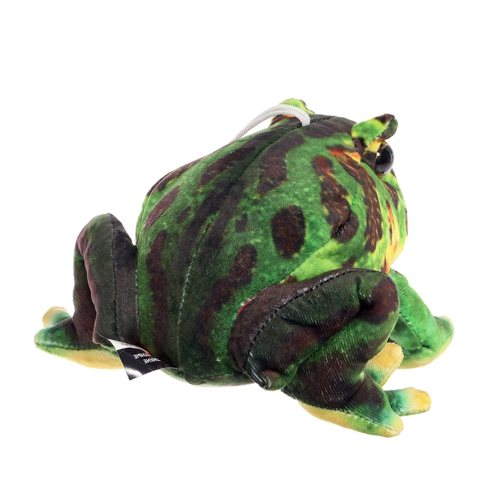 Мягкая игрушка «Лягушка», 17 см Мягкая игрушка «Лягушка», 17 см