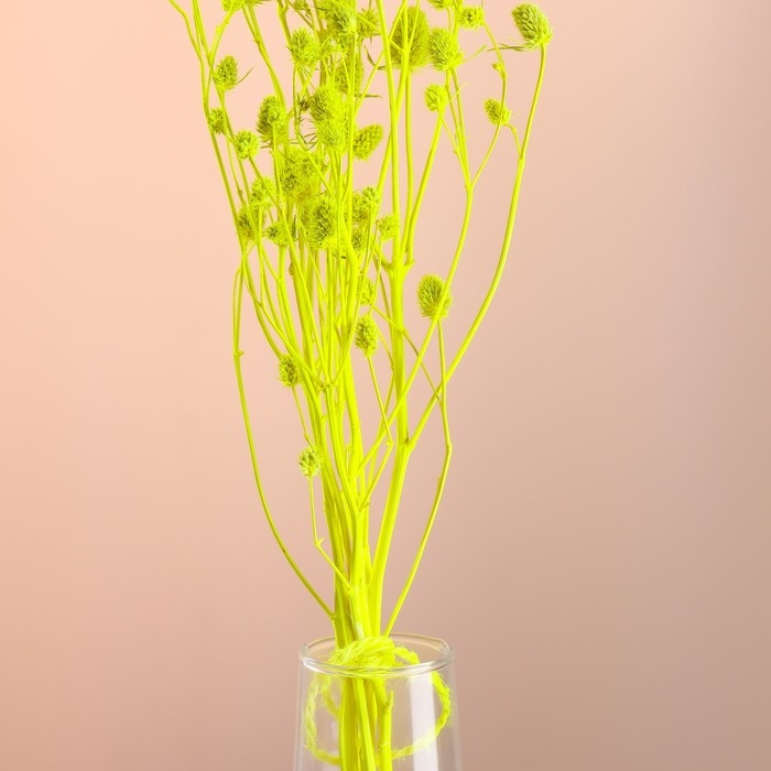 Набор сухоцветов Набор сухоцветов "Эрингиум", банч 5 шт, длина 55 (+/- 6 см), ярко-желтый