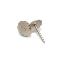 Гвозди ТУНДРА, декоративные, обивочные, фактурные, 11&times;16 мм, хром, 100 шт.