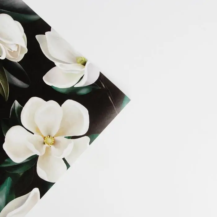 Бумага упаковочная глянцевая «Магнолия», 70 х 100 см