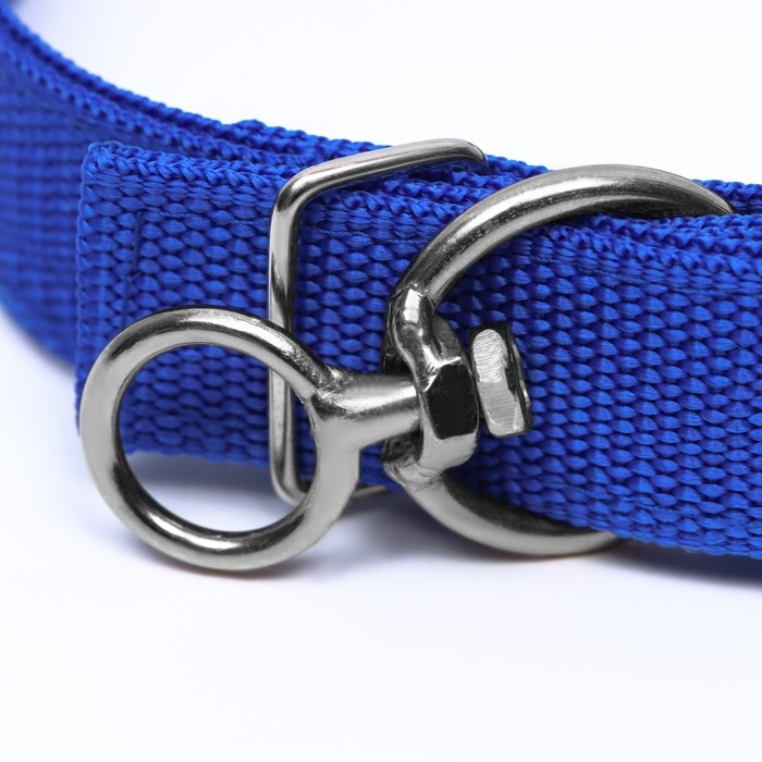 Ошейник двухслойный с вертлюгом, 58 х 3 см, полиэстер, синий Ошейник двухслойный с вертлюгом, 58 х 3 см, полиэстер, синий