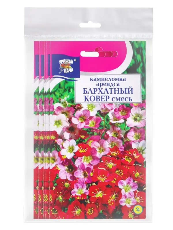 Набор семян Камнеломка Набор семян Камнеломка "Бархатный ковер", 5 шт.