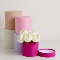 Набор круглых коробок 5 в 1 &laquo;Ягодный&raquo;, 23&times;23 - 15&times;15 см