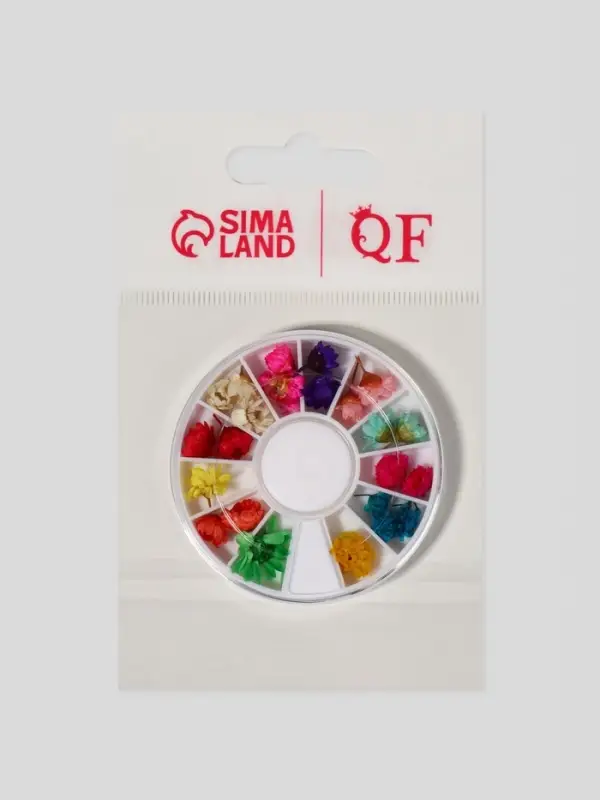 Сухоцветы для декора &laquo;Ромашки&raquo;, объёмные, 12 видов, в футляре, разноцветные