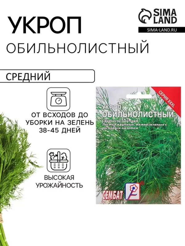 Семена ХХХL Укроп "Обильнолистный", 20 г