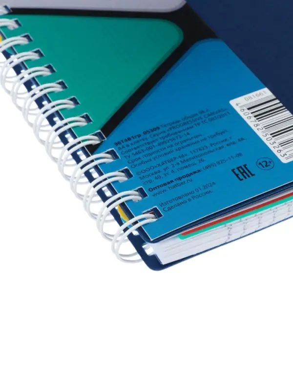 Тетрадь А4 96л кл Тетрадь А4 96л кл "PROGRESSIVE CANVAS Синяя",пласт обл,греб,фигур высеч,4цв разд+лин+карм