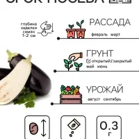 Семена Баклажан &laquo;Универсал 6&raquo;, 0.1 г, &laquo;Рецепты дедушки Никиты&raquo;