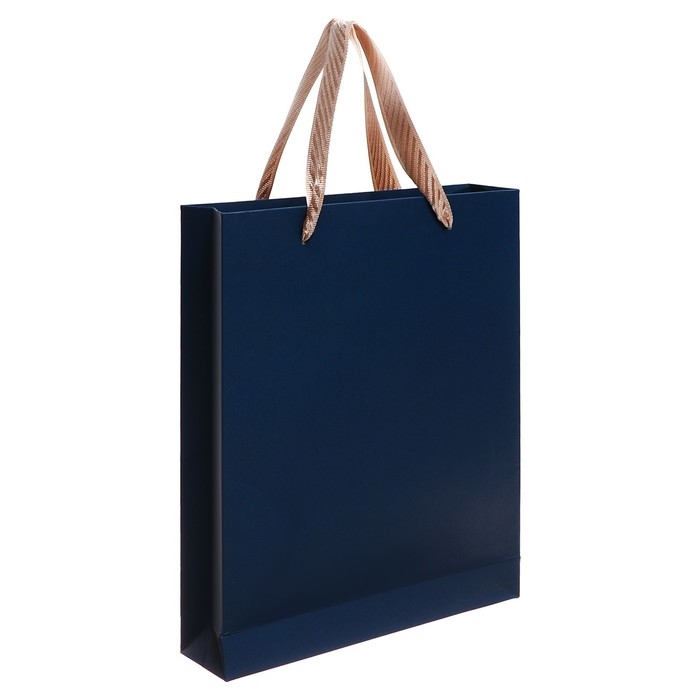 Органайзер на кольцах А6+, 80 листов, кожзам, c клапаном, линия, с ручкой, в подарочной коробке, синий Органайзер на кольцах А6+, 80 листов, кожзам, c клапаном, линия, с ручкой, в подарочной коробке, синий