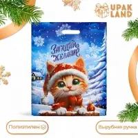 Пакет «Загадай желание», полиэтиленовый с вырубной ручкой, 38×47 см