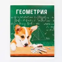 Тетрадь в клетку, предметная, 48 л.,на скрепке, А5 «МИЛЫЕ ПИТОМЦЫ. Геометрия»