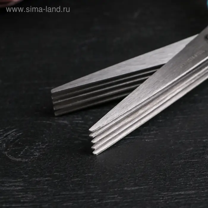 Ножницы кухонные для зелени Доляна «Шеф», 21 см, цвет МИКС Ножницы кухонные для зелени Доляна «Шеф», 21 см, цвет МИКС