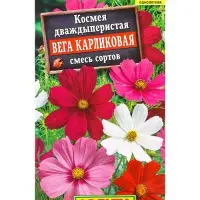Семена цветов Космея Вега карликовая, смесь сортов , Ц/П,0,3 г