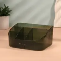 Органайзер для хранения &laquo;GREEN&raquo;, 6 секций, 23&times;15.5&times;11 см, полупрозрачный, зелёный