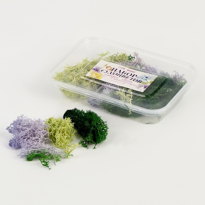 Набор сухоцветов «Мох», цвет МИКС Набор сухоцветов «Мох», цвет МИКС