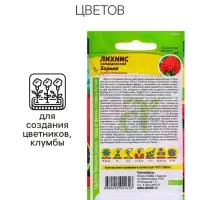 Семена Лихнис "Зорька", ц/п,  0,1 гр.
