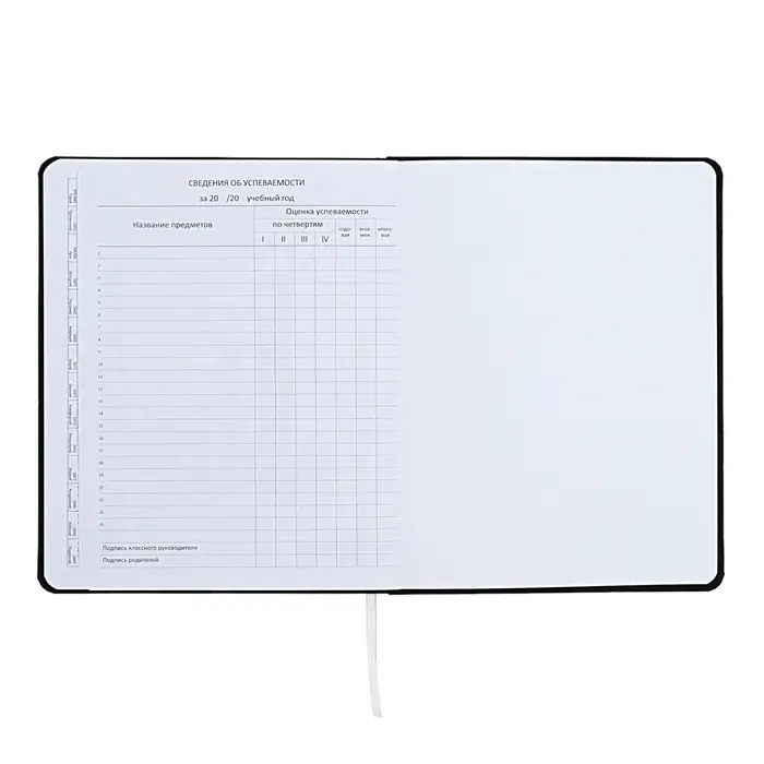 Дневник универсальный для 1-11 класса "Учусь по графику", интегральная обложка, искусственная кожа, шелкография, ляссе, 80 г/м2