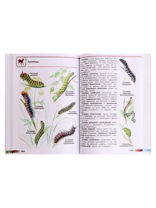 Учебное пособие &laquo;Атлас - определитель. От земли до неба&raquo;, новое оформление, Плешаков А.А.