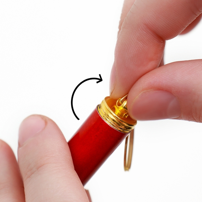 Игрушка для кошек  Игрушка для кошек "Лазер" с батарейками, красный