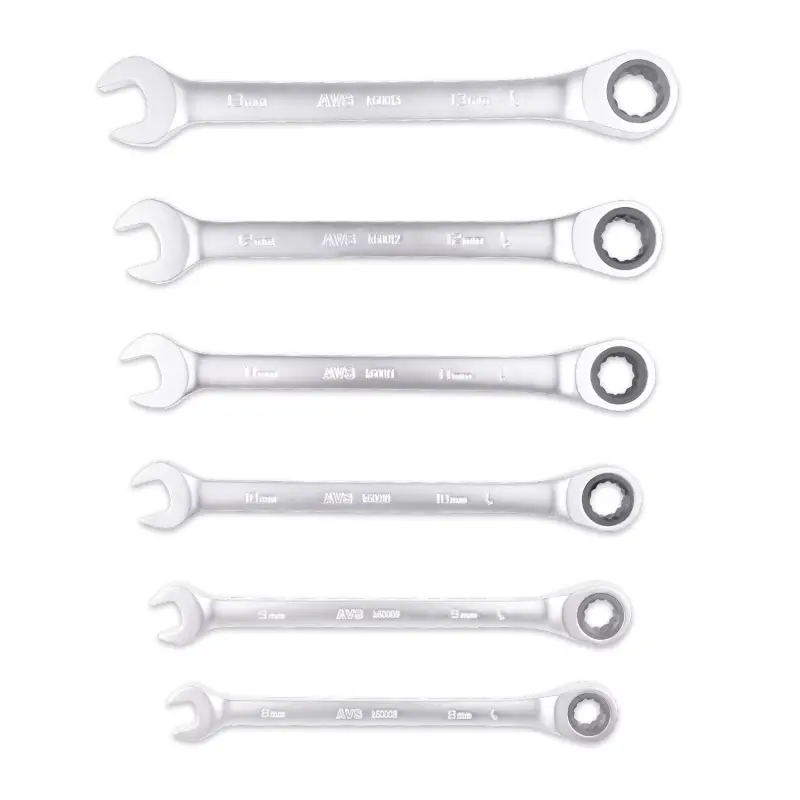 Набор ключей гаечных комбинированных трещоточных в пластике (8-19 мм) (11предметов) AVS K6N11P