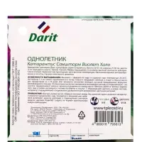 Семена цветов Катарантус Саншторм "Виолет Хало", О, 10 шт