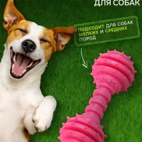 Жевательная игрушка для собак &laquo;Чемпион&raquo;, 12.5 см, TPR, розовая