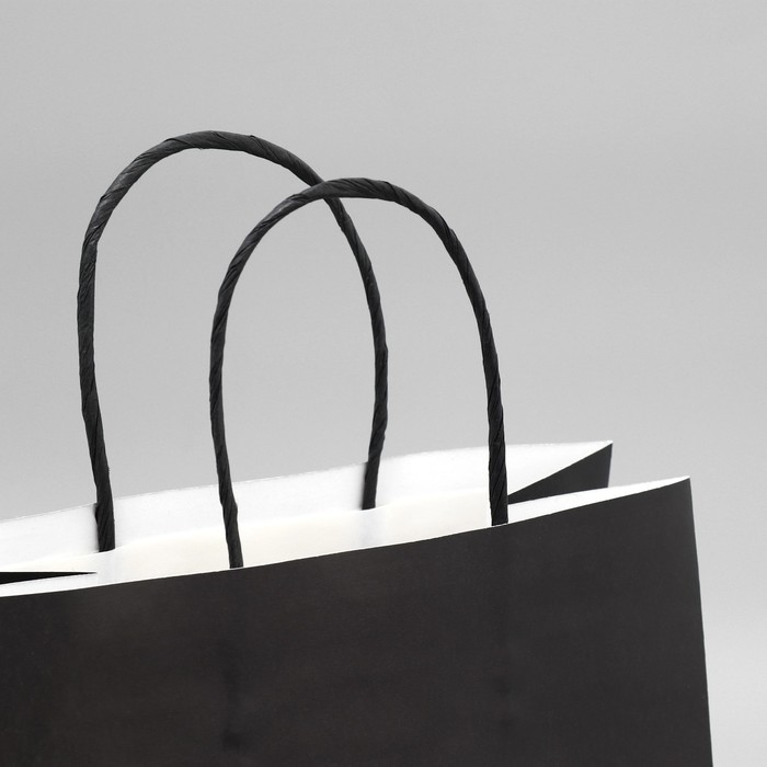 Пакет подарочный, упаковка, «Так себе, а не подарок», 22 х 22 х 11 см Пакет подарочный, упаковка, «Так себе, а не подарок», 22 х 22 х 11 см