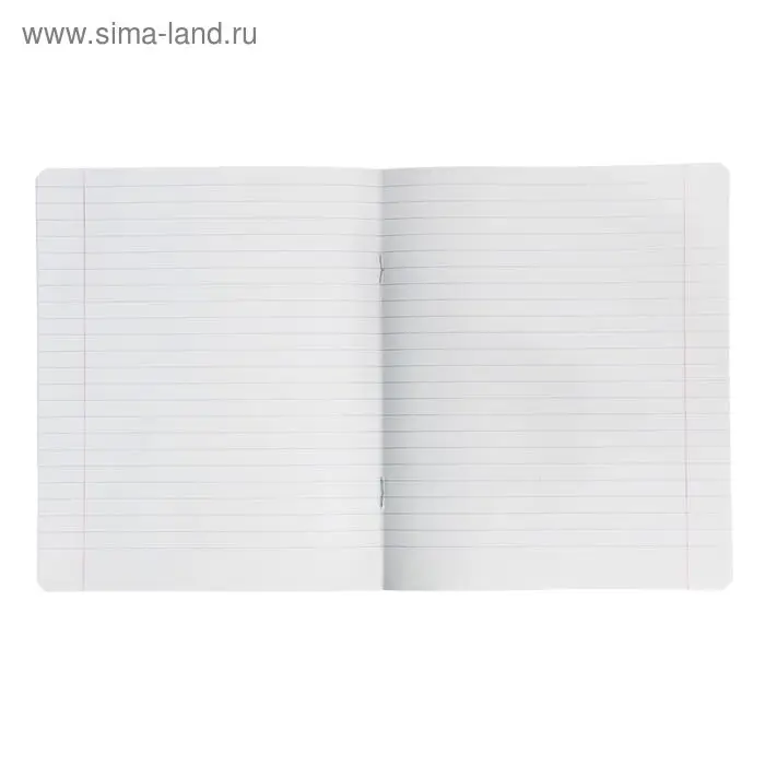 Тетрадь 12 листов в линейку «Великолепная пятёрка», бумажная обложка, МИКС