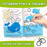 Книги многоразовые с маркером &laquo;Напиши и сотри. Развиваем мелкую моторику&raquo;, набор 2 шт. по 12 стр.