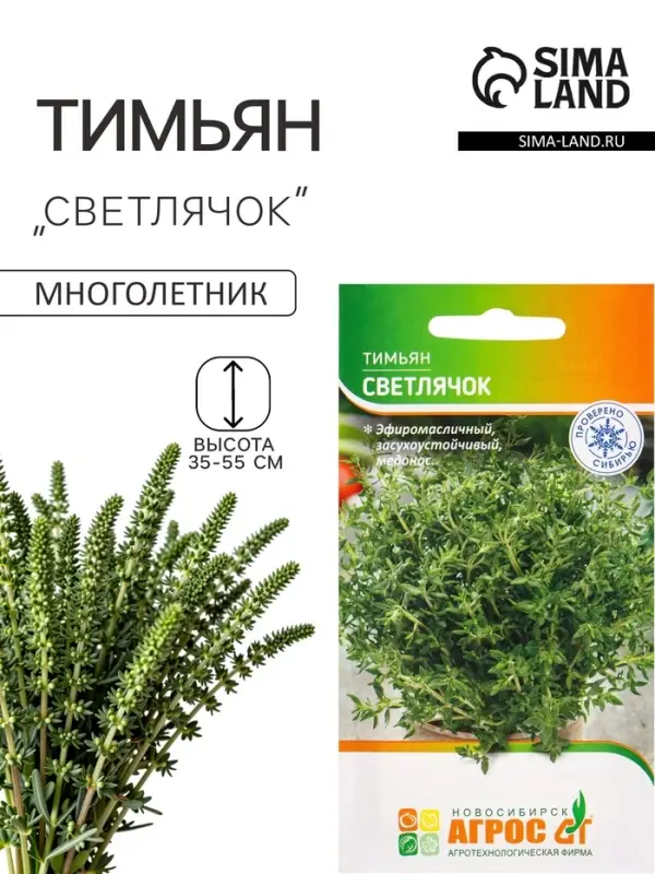 Семена Тимьян &laquo;Светлячок&raquo; 0.5 г, &laquo;Агросс&raquo;