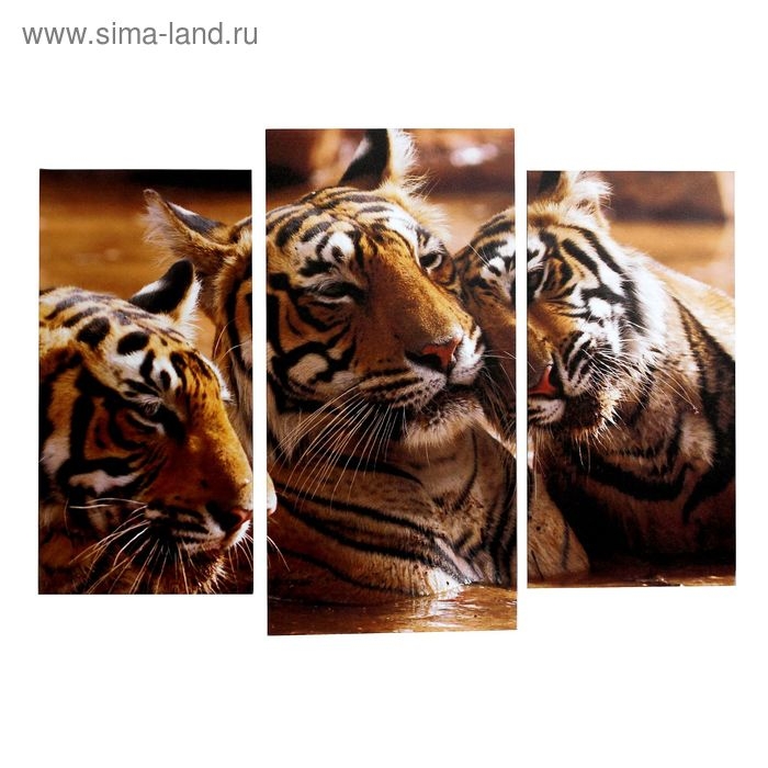 Картина модульная на подрамнике  Картина модульная на подрамнике "Любовь" 2шт-25х50, 1шт-30х60 ;60*80 см