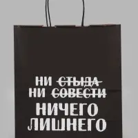 Пакет подарочный &laquo;Ни стыда ни совести Ничего лишнего&raquo;, 24&times;14&times;28 см, крафт