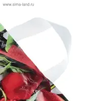 Пакет «Мерси», полиэтиленовый с петлевой ручкой, 38×42 см, 40 мкм