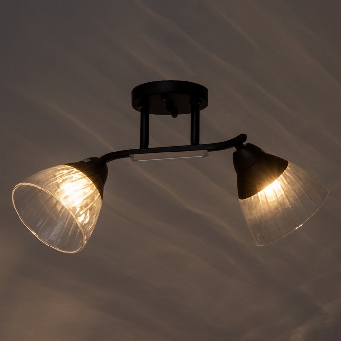 Люстра потолочная Люстра потолочная "Аррон" E27 2х40Вт черный 46х19х24см