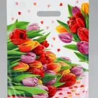 Пакет "Март", полиэтиленовый с вырубной ручкой, 31х40 см, 60 мкм